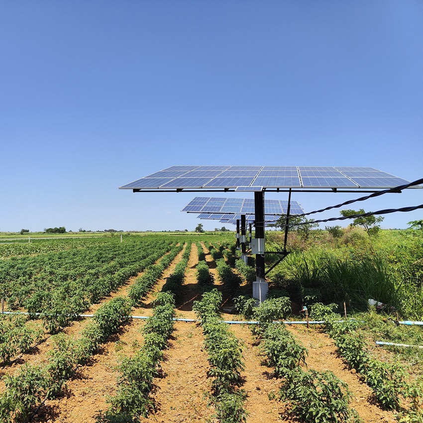 Installation of Solar Water Pumps